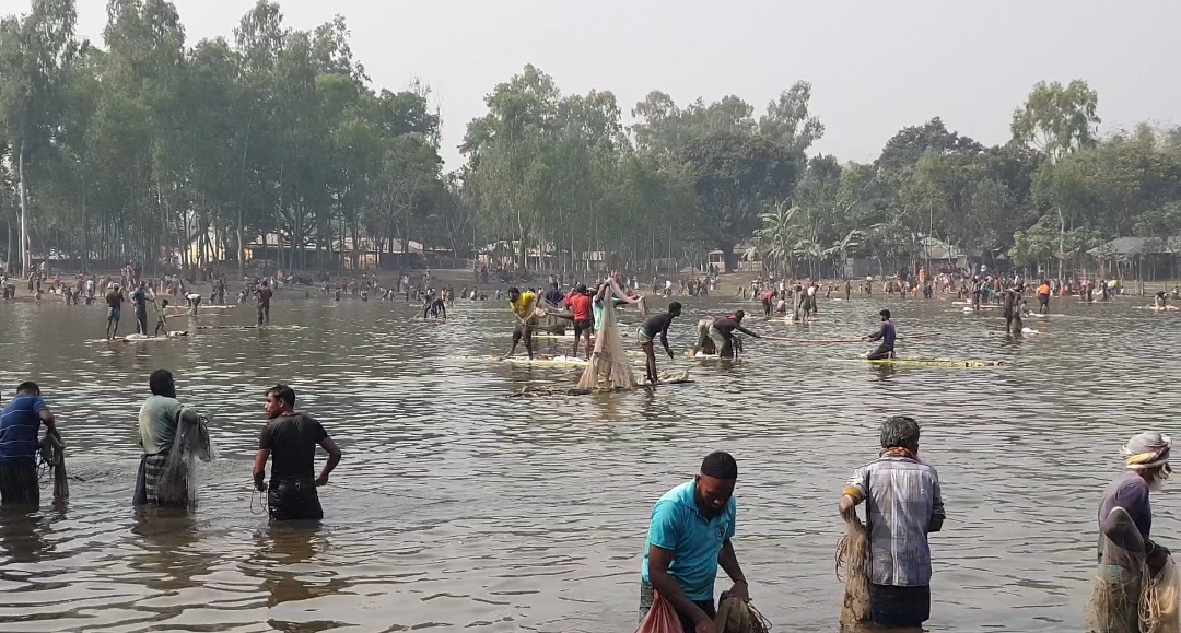 ঠাকুরগাঁওয়ে রুহিয়ায় ঐতিহ্যবাহী সেনিহাড়ী পুকুরে মাছ ধরার উৎসব