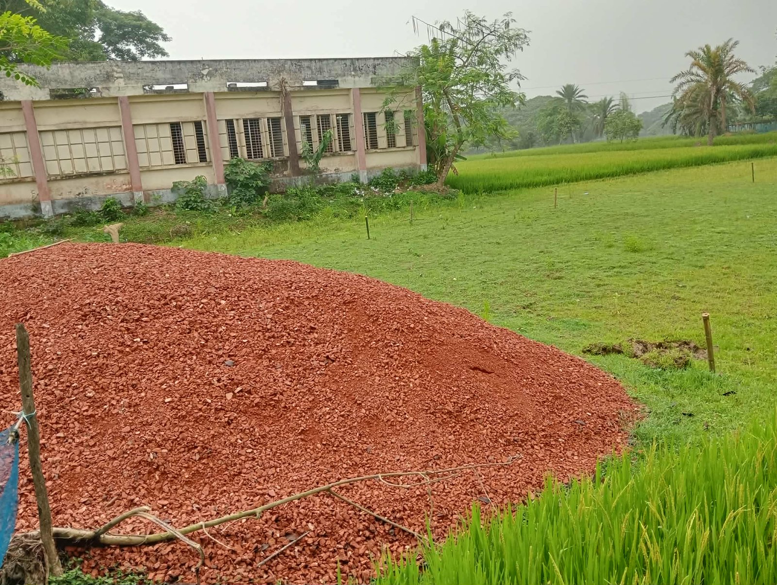 স্কুলের জমিতে অবৈধ দখল ও বহুতল ভবন নির্মাণের অভিযোগ, সীমা নির্ধারণের দাবি এলাকাবাসীর